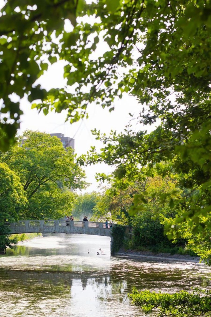 Brug in park Sorghvliedt